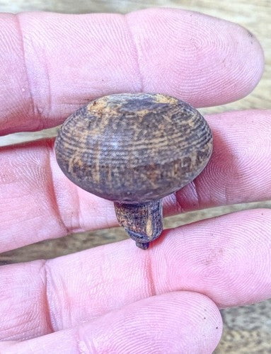 Old Clock Door Knob (26.11mm Dia, 16.91mm Tall, 8.30mm Dia Shaft)   (KD515)