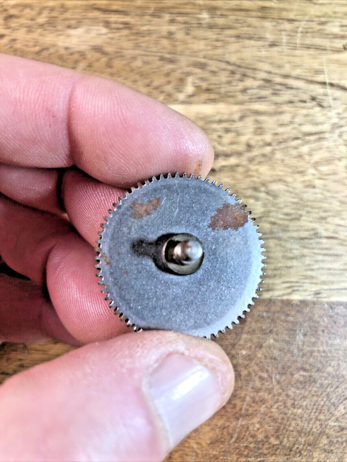 NOS Westclox Spring Barrel and Spring (29.74mm Diameter)    (K7672)