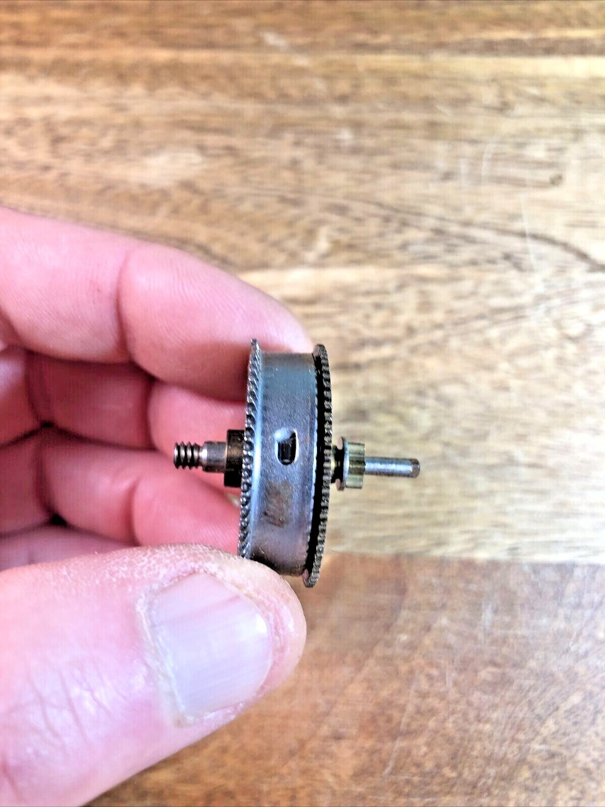 NOS Westclox Spring Barrel and Spring (29.74mm Diameter)    (K7672)