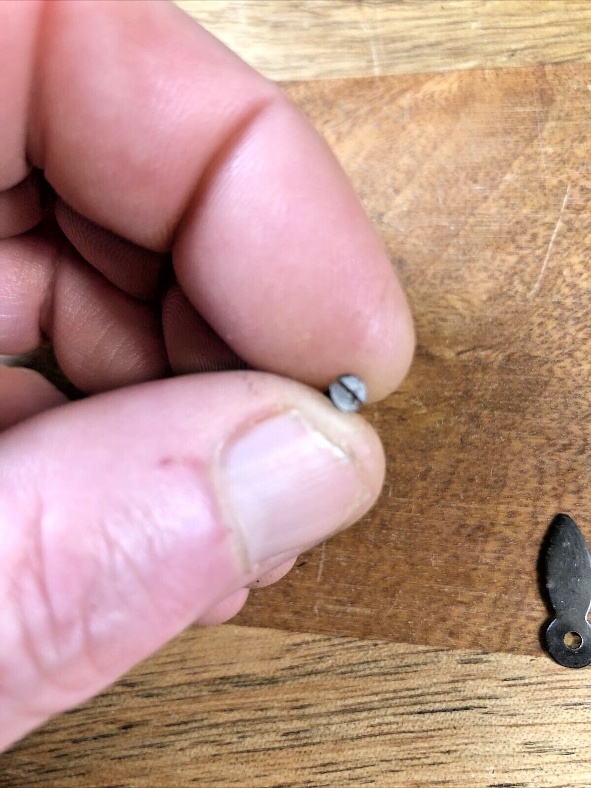 Vintage Clock Back Door Latch            (K6020)