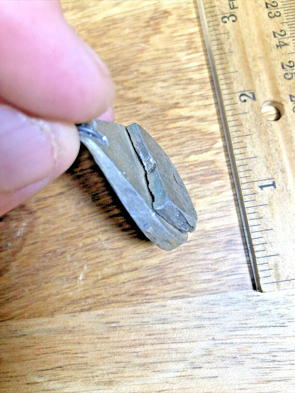 Clock Pendulum Bob Nonadjustable (1.8 oz)     (Lot K5269)