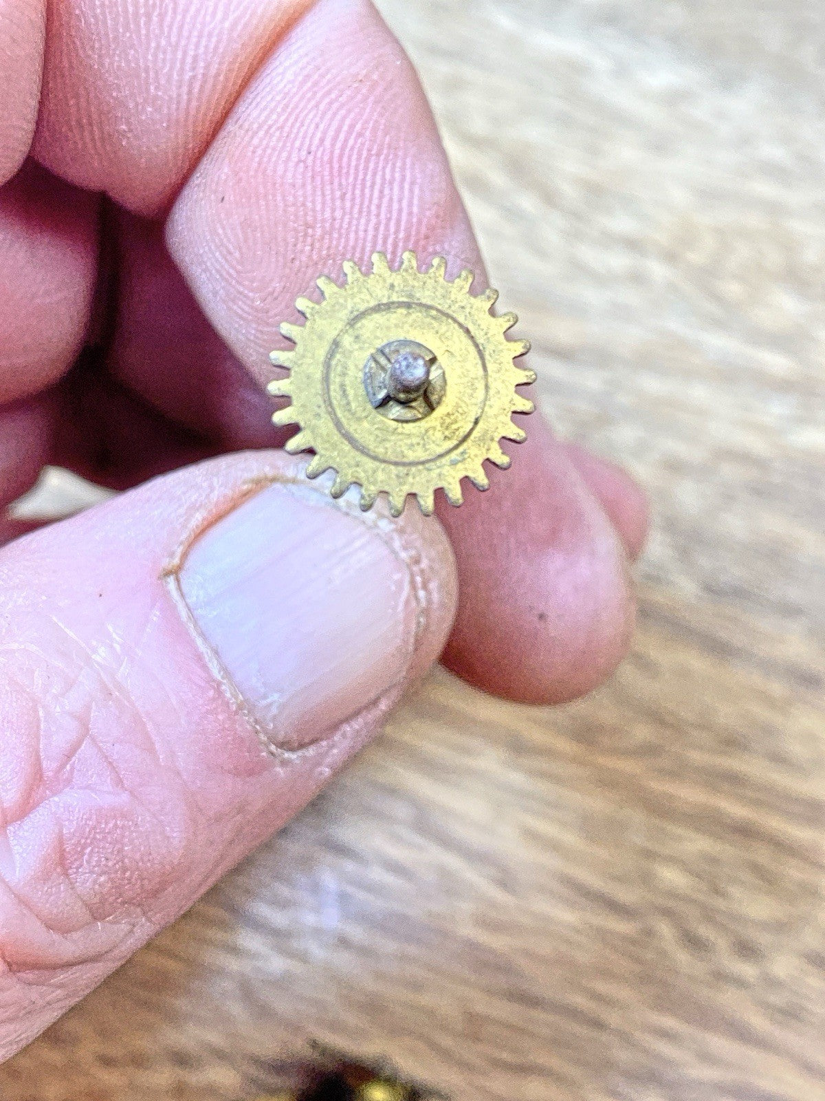 New Haven Clock Movement Pendulum Bridge (See Pics to ID Mvmt) (KD2534)