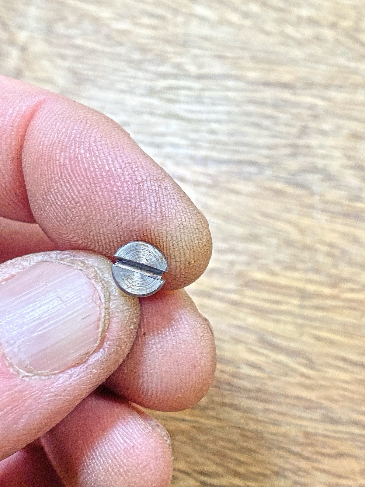 Old American 8 Day Clock Movement Mounting Screws    (KD2410)